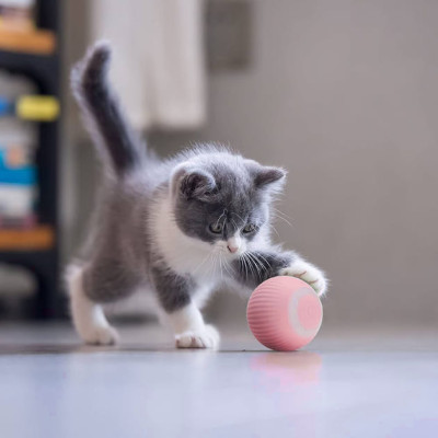 Інтерактивна іграшка UFT для котів Розумний м'яч CatToy 1