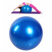М'яч для фітнесу (фітбол) 75 см Rising Anti Burst Gym Ball (Кольори -синій та фіолетовий) М'яч для фітнесу (фітбол) 75 см Rising Anti Burst Gym Ball (Кольори -синій та фіолетовий)