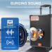 Колонка акустична акумуляторна з без дротовим мікрофоном, пультом, USB, SD, FM, AUX, Bluetooth та двома ручками, 40ват, 41см*26см*23см JQS908S Колонка акустична акумуляторна з без дротовим мікрофоном, пультом, USB, SD, FM, AUX, Bluetooth та двома ручками, 40ват, 41см*26см*23см JQS908S