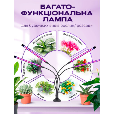 Світлодіодна фітолампа з 4 гнучкими лампами для квітів і розсади Світлодіодна фітолампа з 4 гнучкими лампами для квітів і розсади
