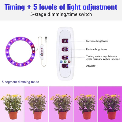 Світлодіодна фітолампа для вирощування рослин, 4 лампи 20 LED, 220 V, USB