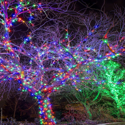 Гірлянда вулична 800 LED 50М Мульти Вуличний