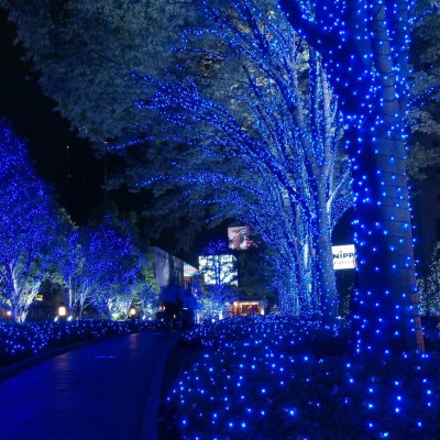 Гірлянда вулична 800 LED 50М Синій Вуличний